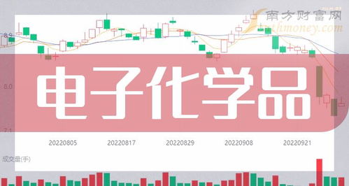 2024年電子化學(xué)品龍頭股盤點(diǎn) 產(chǎn)業(yè)東風(fēng)與市場(chǎng)機(jī)遇并行（2024年3月13日視角）